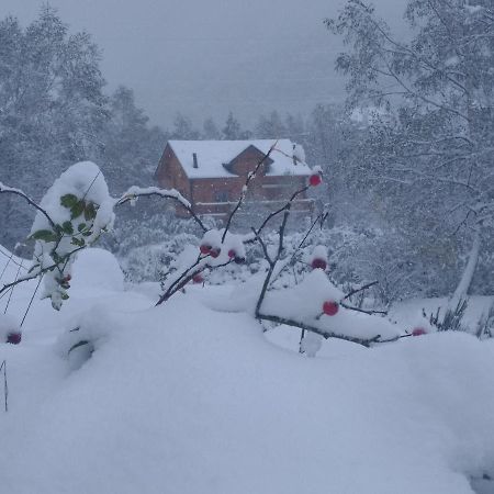 Chalet Bois Au Milieu Des Pyrenees LʼHospitalet-près-lʼAndorre المظهر الخارجي الصورة