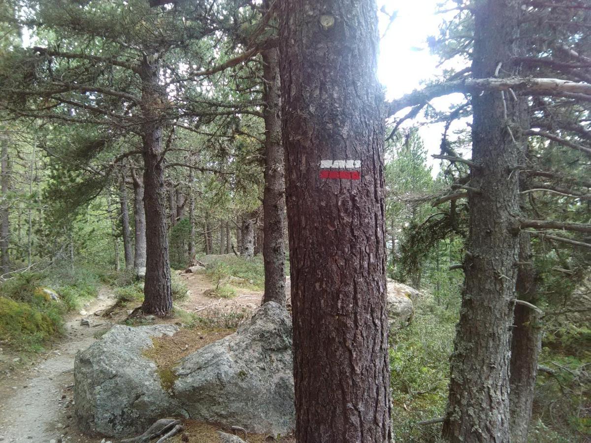 Chalet Bois Au Milieu Des Pyrenees LʼHospitalet-près-lʼAndorre المظهر الخارجي الصورة