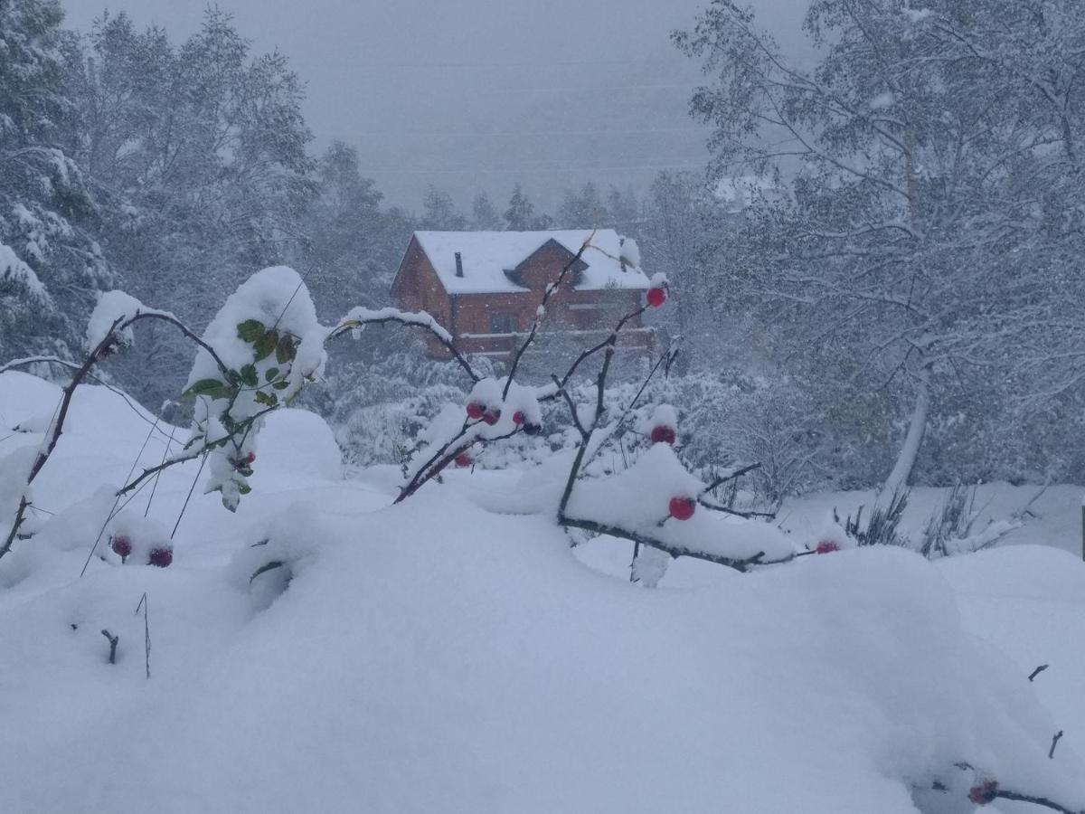 Chalet Bois Au Milieu Des Pyrenees LʼHospitalet-près-lʼAndorre المظهر الخارجي الصورة